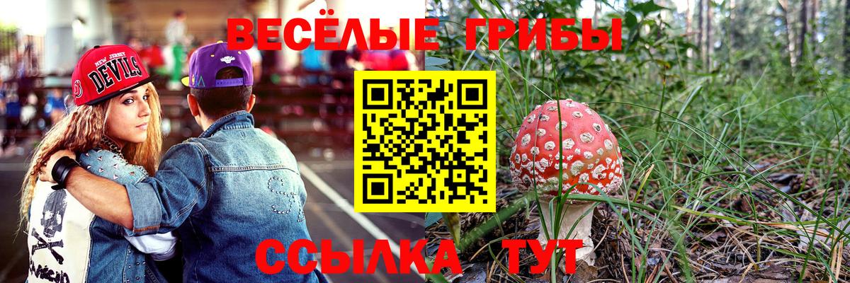 Псилоцибиновые грибы Psilocybine cubensis Железноводск