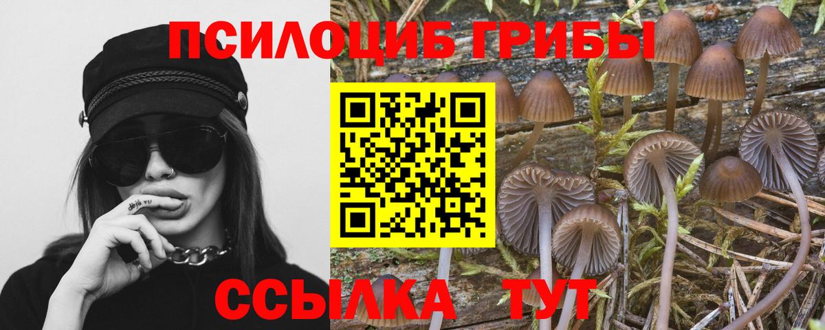 купить наркоту  Вход с VPN  Железноводск  Псилоцибиновые грибы мицелий 